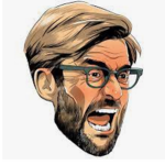 LIVERPOOL INSANE