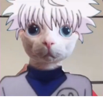Anime Clothes Your Comfort Character Approved