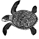 Turtle Collective