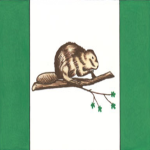 The Beaver Company