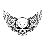 | TBS | Raiders