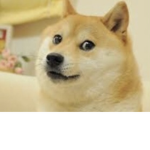 DR doge republik