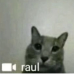 better call raul (hes waiting)
