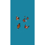 My Butterfly Squad!