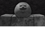 Chunky_Seals