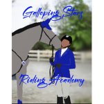 Galloping Stars Riding Academy