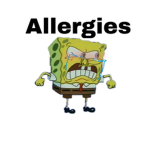 Spongebob is gud