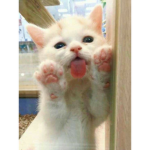 Vy :p