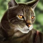 Warrior Cat Readers