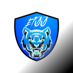 e100 | Competitive Strucid