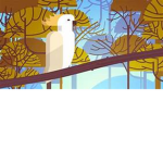 Birdy Friends