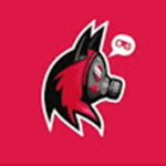 oto gamer