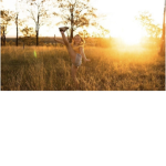 Sunlight Dance Company!