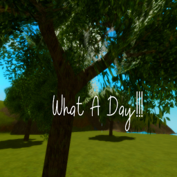 what a day