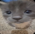 Sub to Tastedsoup8 for something