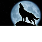 Empire of the Night (EN)