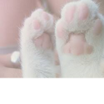 kitty clouds!!