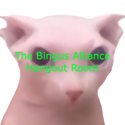 The Bingus Allliance Hangout Room
