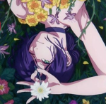 V3N4K1