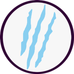 Jira /// Junction