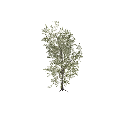 Realistic tree