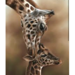 Giraffe Squaddd