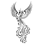 Black Bird Ninja Clan B.B.N.C