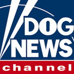 DOG News