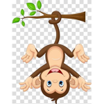 Monkey friends save the monkeys