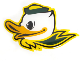 Boston Ducks