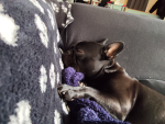 Mila,s Paradies