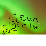 Team tiger the best