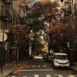 ⋆｡°✩🍂✩°｡⋆