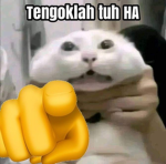 Aditya_pintar2
