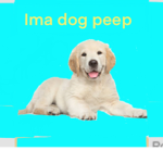 Bootiful pups