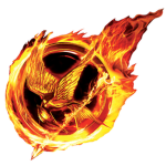 The Mockingjay Birds