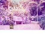 **+_Willow_Tree_Squad_+**