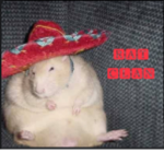 Rat _raiders
