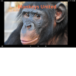 Monke United