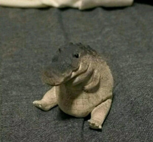 R.I.P