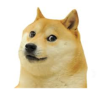 DogeRblxYT official fan club
