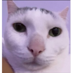 - ᴱ ᴸ ᴵ ᵀ ᴱ -