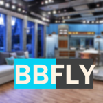 Big Brother: Fly In
