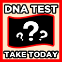 🧬 What’s your DNA?