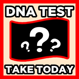 🧬 What’s your DNA?
