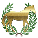 Cohortes Equitаtae