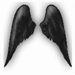 Guest Wings