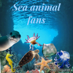 Sea animal fan group