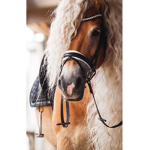 Equestrian world!