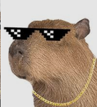 CAPYBARA STUDIOS 2